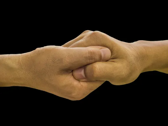 BlueFox Casino Tacaíocht